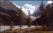 Altaj 2003